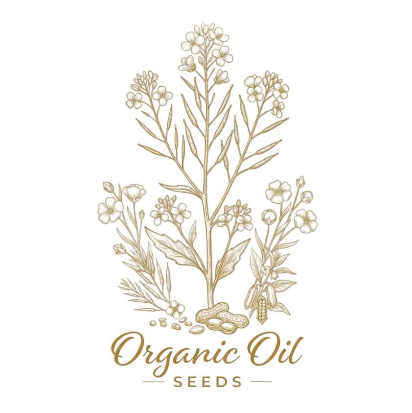 Illustration of organic oil seeds with plants on a light background